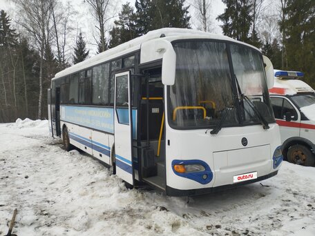 2009 КАвЗ 4238, белый, 1100000 рублей, вид 2
