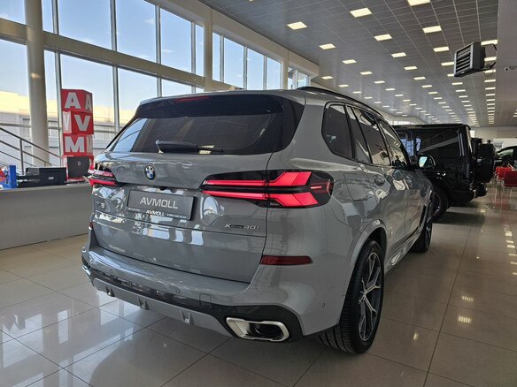 2025 BMW X5 40i IV (G05/G18) Рестайлинг, серый - вид 8