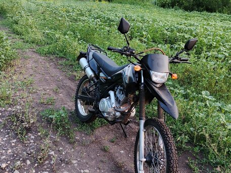 2020 Lifan LF200GY-3, чёрный, 88000 рублей, вид 1