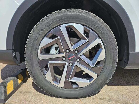 2021 VGV U75 Plus, белый, 1800000 рублей - вид 13