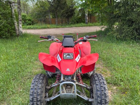 2004 Honda TRX 250, красный, 350000 рублей, вид 3
