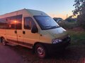 2010 Fiat Professional Ducato, жёлтый, 430000 рублей