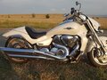 2007 Suzuki Boulevard M109R, белый, 850000 рублей - вид 5