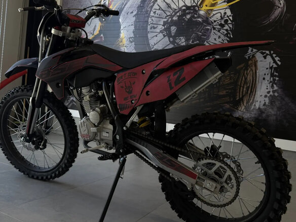 2026 BSE Z2, красный, 154990 рублей - вид 3