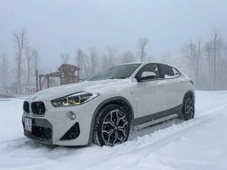 2018 BMW X2 xDrive20i I (F39), белый, 2400000 рублей, вид 2