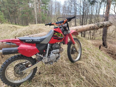 2001 Honda XR 250, красный, 245000 рублей, вид 1