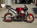 2001 Honda CBR 600F, красный, 270000 рублей