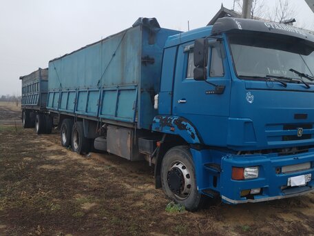 2010 КамАЗ 65117, синий, 1900000 рублей, вид 1