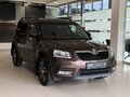 2014 Skoda Yeti I Рестайлинг, коричневый - вид 2