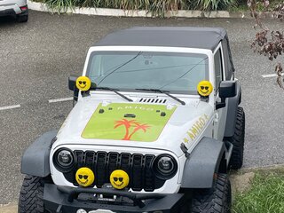 2016 Jeep Wrangler III (JK), белый, 2600000 рублей, вид 2