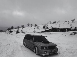 1997 Subaru Forester I, серебристый, 900000 рублей, вид 1