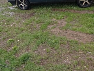 1989 Volkswagen Passat B3, синий, 230000 рублей, вид 2