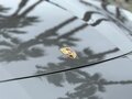 2016 Porsche Panamera Turbo II, серый, 7190000 рублей - вид 11