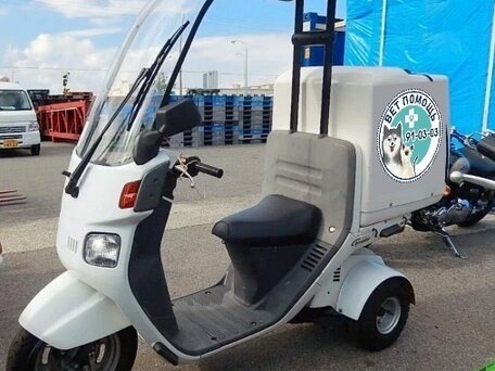 2018 Honda Gyro, белый, 200000 рублей, вид 1