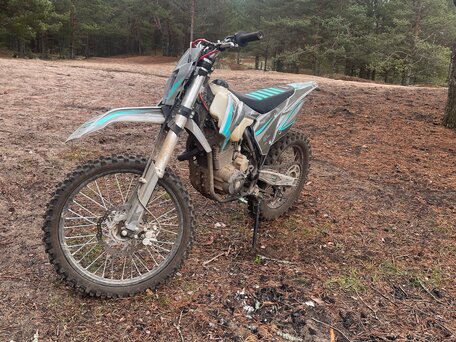 2025 FX moto YX300, серебристый, 140000 рублей, вид 2