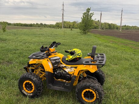 2020 Motoland Wild Track 200, жёлтый, 100000 рублей, вид 3