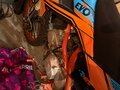 2023 Kayo Evolution YX125EM, оранжевый, 68000 рублей - вид 2
