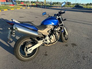 2004 Honda CB 600F Hornet, синий, 345000 рублей, вид 3