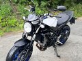 2016 Suzuki SV 650, белый, 500000 рублей - вид 7