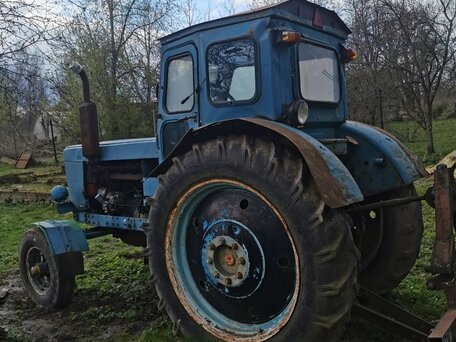 1983 ЛТЗ Т-40М, голубой, 150000 рублей, вид 3