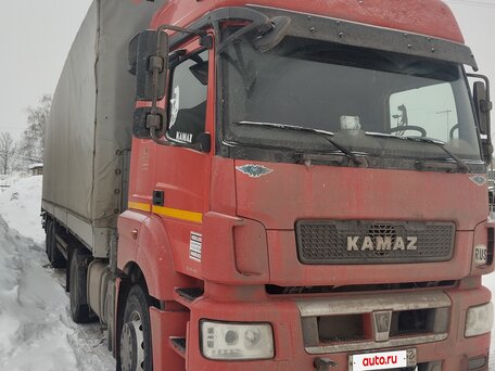 2016 КамАЗ 5490, красный, 1600000 рублей, вид 1
