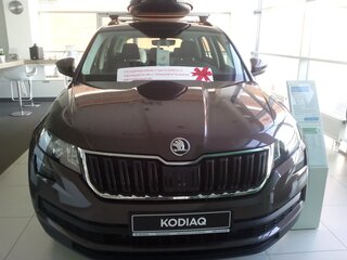 2018 Skoda Kodiaq I, коричневый, 2900000 рублей, вид 1