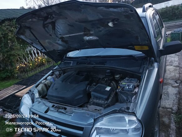 2006 Chevrolet Niva I, серый, 390000 рублей - вид 6