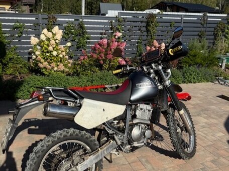 2006 Suzuki Djebel 250, чёрный, 345000 рублей, вид 2