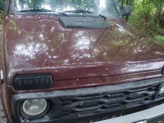 2012 Lada (ВАЗ) 2121 (4x4) I Рестайлинг, пурпурный, 390000 рублей, вид 1