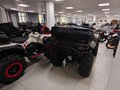 2026 Loncin XWolf 1000L Muddy, бежевый, 1399000 рублей - вид 5