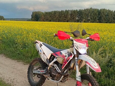 2021 Regulmoto Dyna, белый, 110000 рублей, вид 1