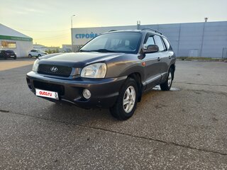 2004 Hyundai Santa Fe I, серый, 660000 рублей, вид 2