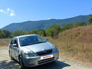 2003 Toyota Corolla IX (E120, E130), серебристый, 400000 рублей, вид 1