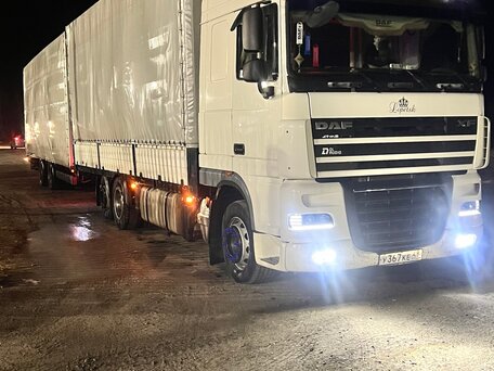 2006 DAF XF 105, белый, 3050000 рублей, вид 2