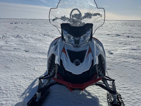 2015 BRP Lynx 49 Ranger 600, белый, 1200000 рублей, вид 2