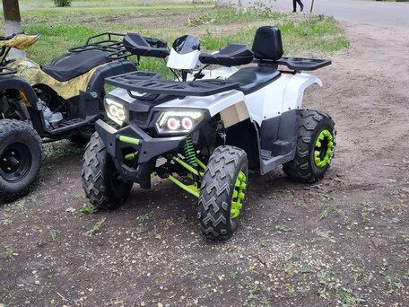 2020 Motoland Wild Track 200, белый, 175000 рублей, вид 5