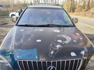 1998 Lexus RX 300 I, золотистый, 850000 рублей, вид 4
