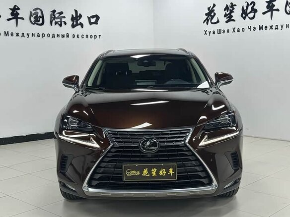 2020 Lexus NX 200 I Рестайлинг, коричневый - вид 1