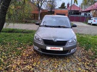 2010 Skoda Fabia II, серый, 590000 рублей, вид 3