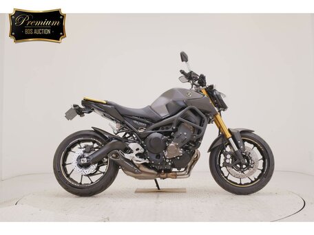 2015 Yamaha MT-09 (FZ-09), серый, 747000 рублей, вид 2