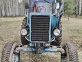 1993 МТЗ (BELARUS) 082, голубой, 560000 рублей - вид 1