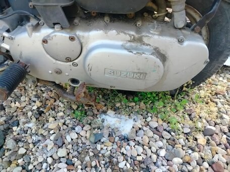 1982 Suzuki Gemma, белый, 32000 рублей, вид 4