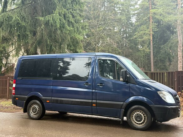 2007 Mercedes-Benz Sprinter, синий - вид 30