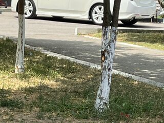 2008 Honda Accord VIII, белый, 1400000 рублей, вид 4