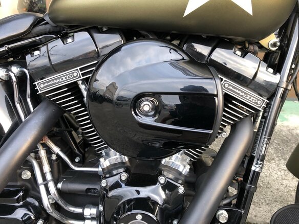 2016 Harley-Davidson Softail Slim, зелёный, 1770000 рублей - вид 5