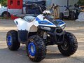 2026 Motoland ATV 110 Eagle, белый, 85400 рублей