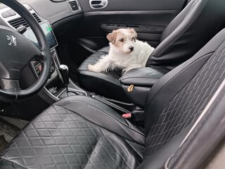 2003 Peugeot 307 I, бежевый, 390000 рублей, вид 3