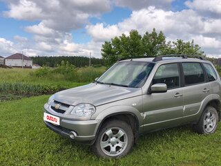 2012 Chevrolet Niva I Рестайлинг, серый, 510000 рублей, вид 1