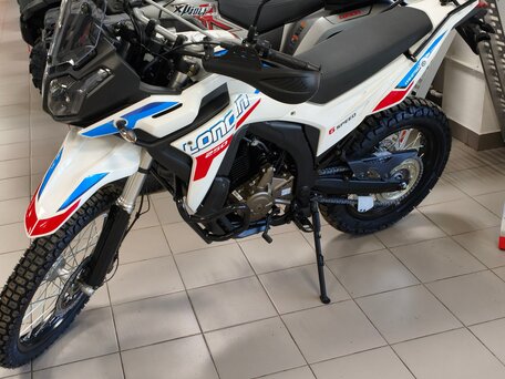 2026 Loncin DS250, белый, 258000 рублей, вид 2