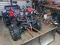 2021 Tiger Max Grade 300, красный, 180000 рублей - вид 4